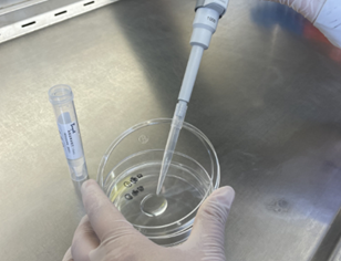 嬰配乳粉生產(chǎn)企業(yè)環(huán)境微生物監(jiān)測(cè)（一）——表面微生物采樣