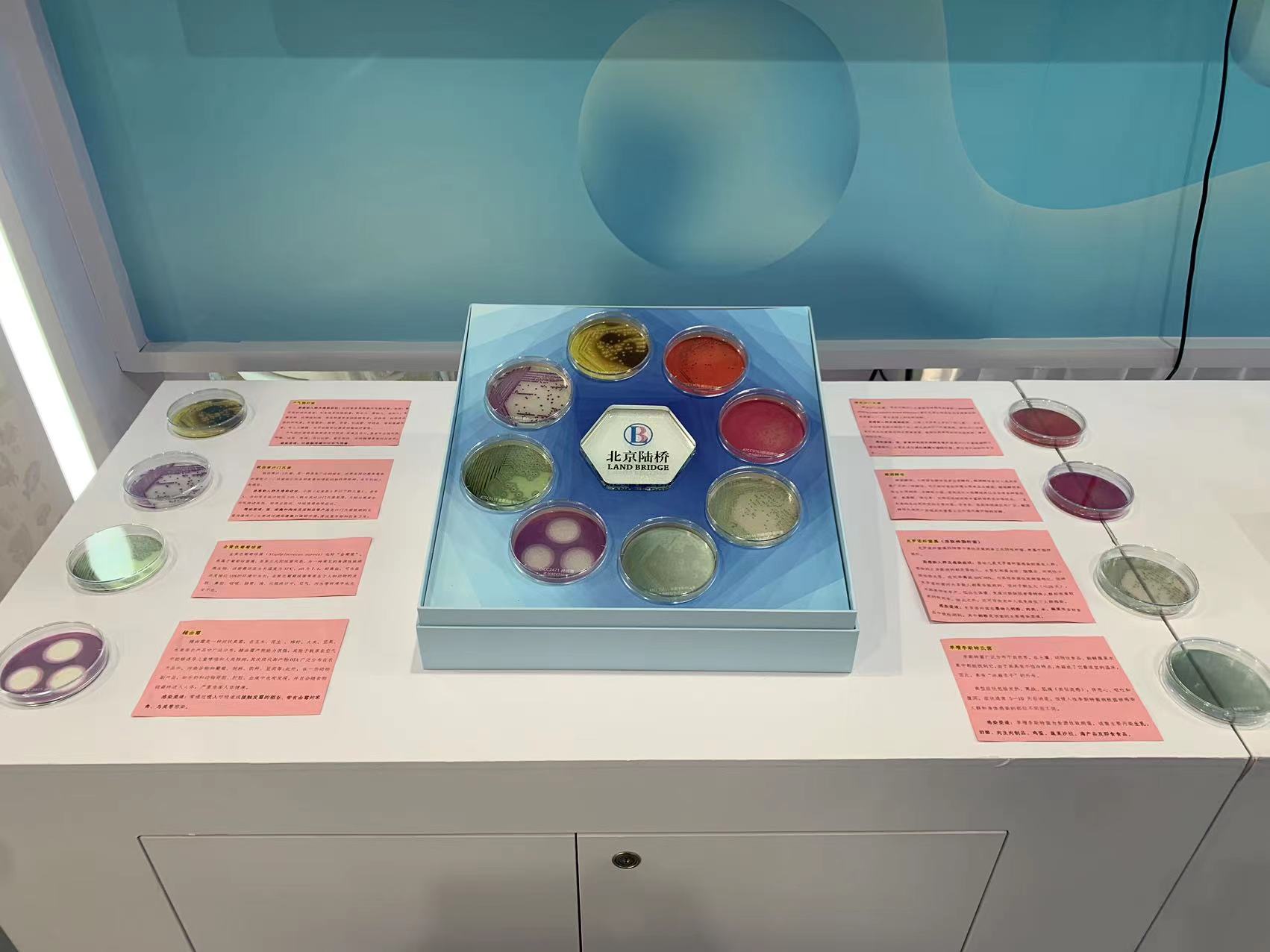 北京陸橋與您相約全國科普日 助力國家科技，守護“舌尖上的安全”