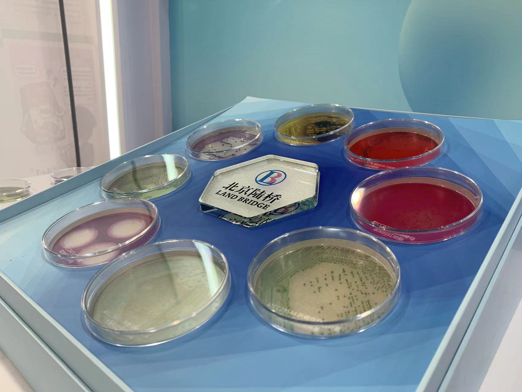 北京陸橋與您相約全國科普日 助力國家科技，守護“舌尖上的安全”