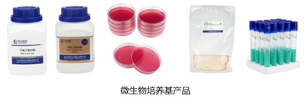 北京陸橋與您相約全國科普日 助力國家科技，守護“舌尖上的安全”