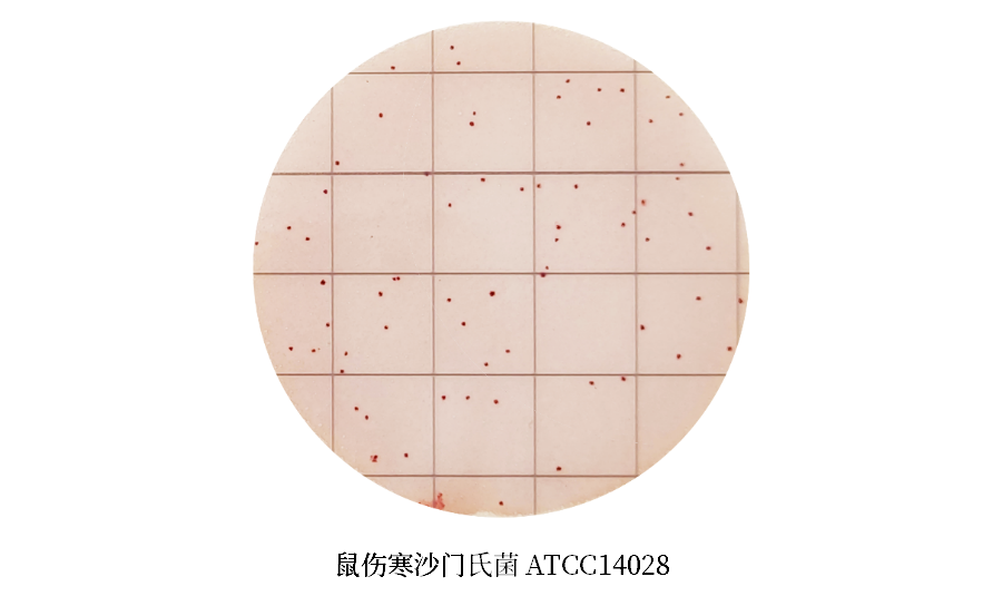 陸橋推出新大腸菌群測試片：符合GB4789.3-2025