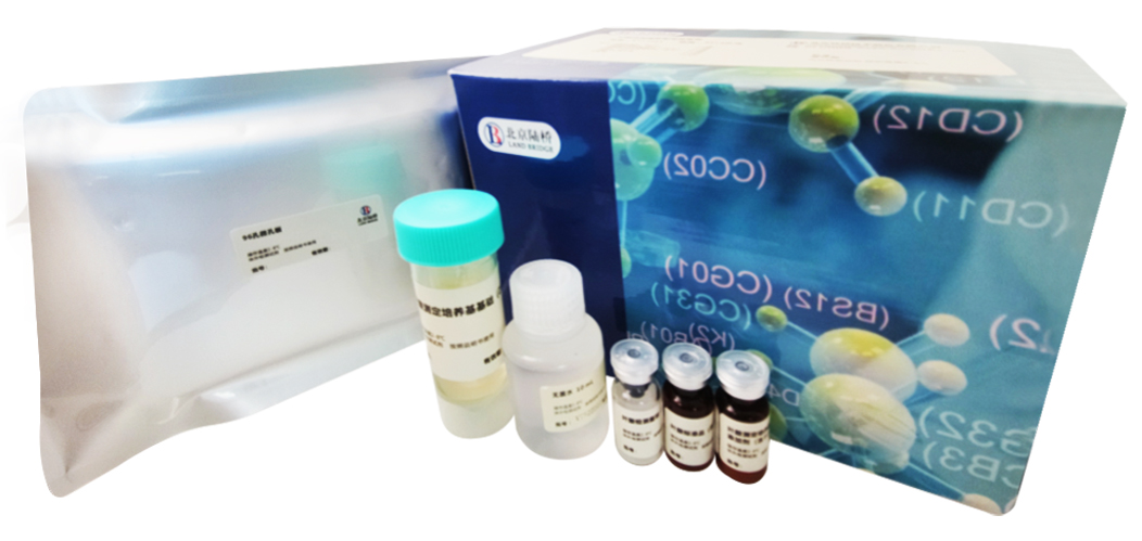 北京陸橋邀請(qǐng)您參加CBIFS第十七屆食品安全技術(shù)論壇（2025年4月·杭州）