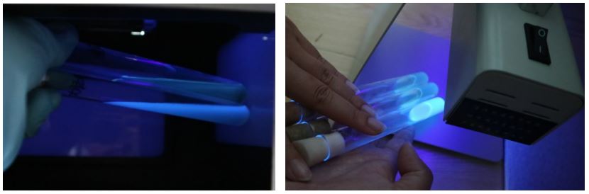 GB 4789.38－2025《食品安全國家標(biāo)準(zhǔn)　食品微生物學(xué)檢驗(yàn)　大腸埃希氏菌計(jì)數(shù)》解讀