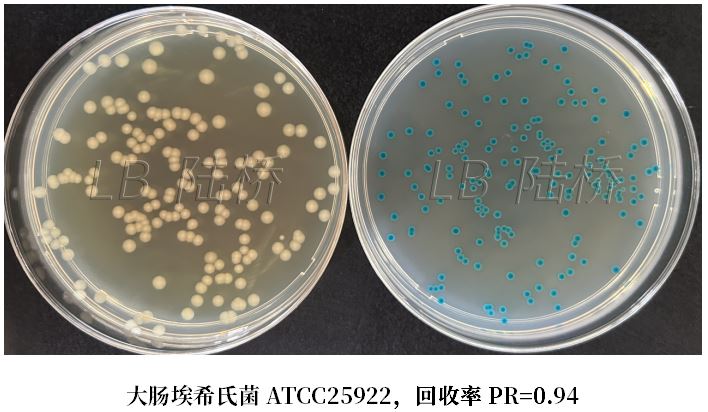 GB 4789.38－2025《食品安全國家標(biāo)準(zhǔn)　食品微生物學(xué)檢驗(yàn)　大腸埃希氏菌計(jì)數(shù)》解讀