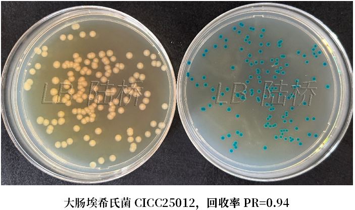 GB 4789.38－2025《食品安全國家標(biāo)準(zhǔn)　食品微生物學(xué)檢驗(yàn)　大腸埃希氏菌計(jì)數(shù)》解讀