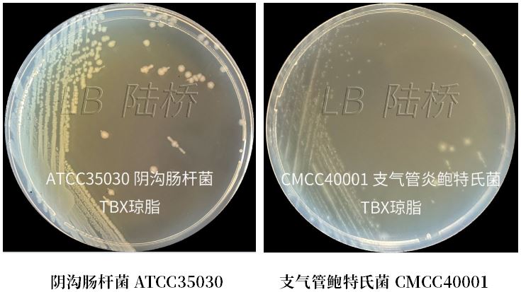 GB 4789.38－2025《食品安全國家標(biāo)準(zhǔn)　食品微生物學(xué)檢驗(yàn)　大腸埃希氏菌計(jì)數(shù)》解讀