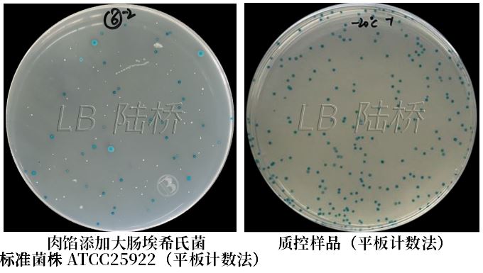 GB 4789.38－2025《食品安全國家標(biāo)準(zhǔn)　食品微生物學(xué)檢驗(yàn)　大腸埃希氏菌計(jì)數(shù)》解讀