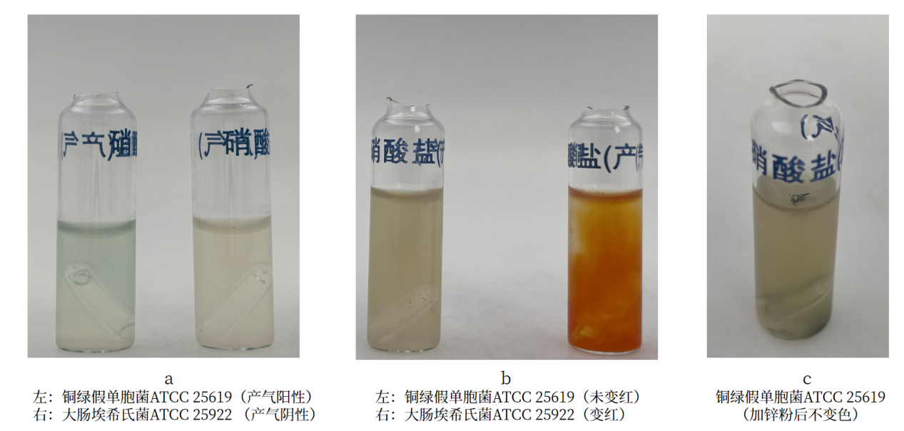 細(xì)菌生化實驗之硝酸鹽還原實驗解析