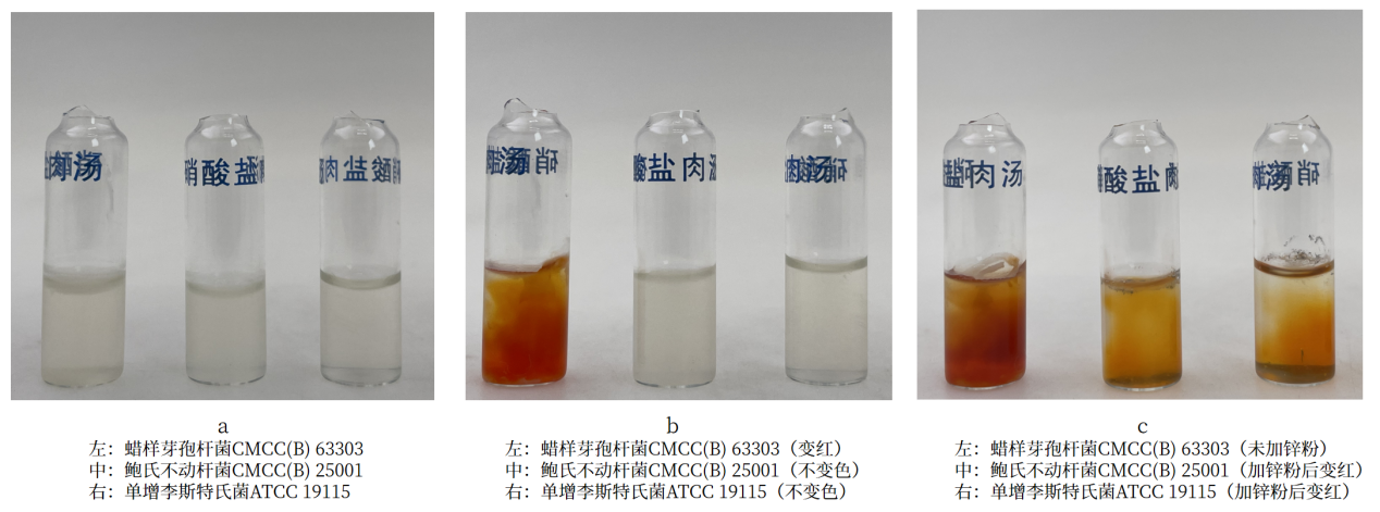 細(xì)菌生化實驗之硝酸鹽還原實驗解析