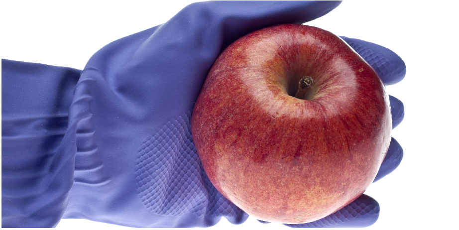 北京陸橋邀您參加2024 食品安全與檢測(cè)技術(shù)創(chuàng)新論壇，共同探討GB4789.28-2024