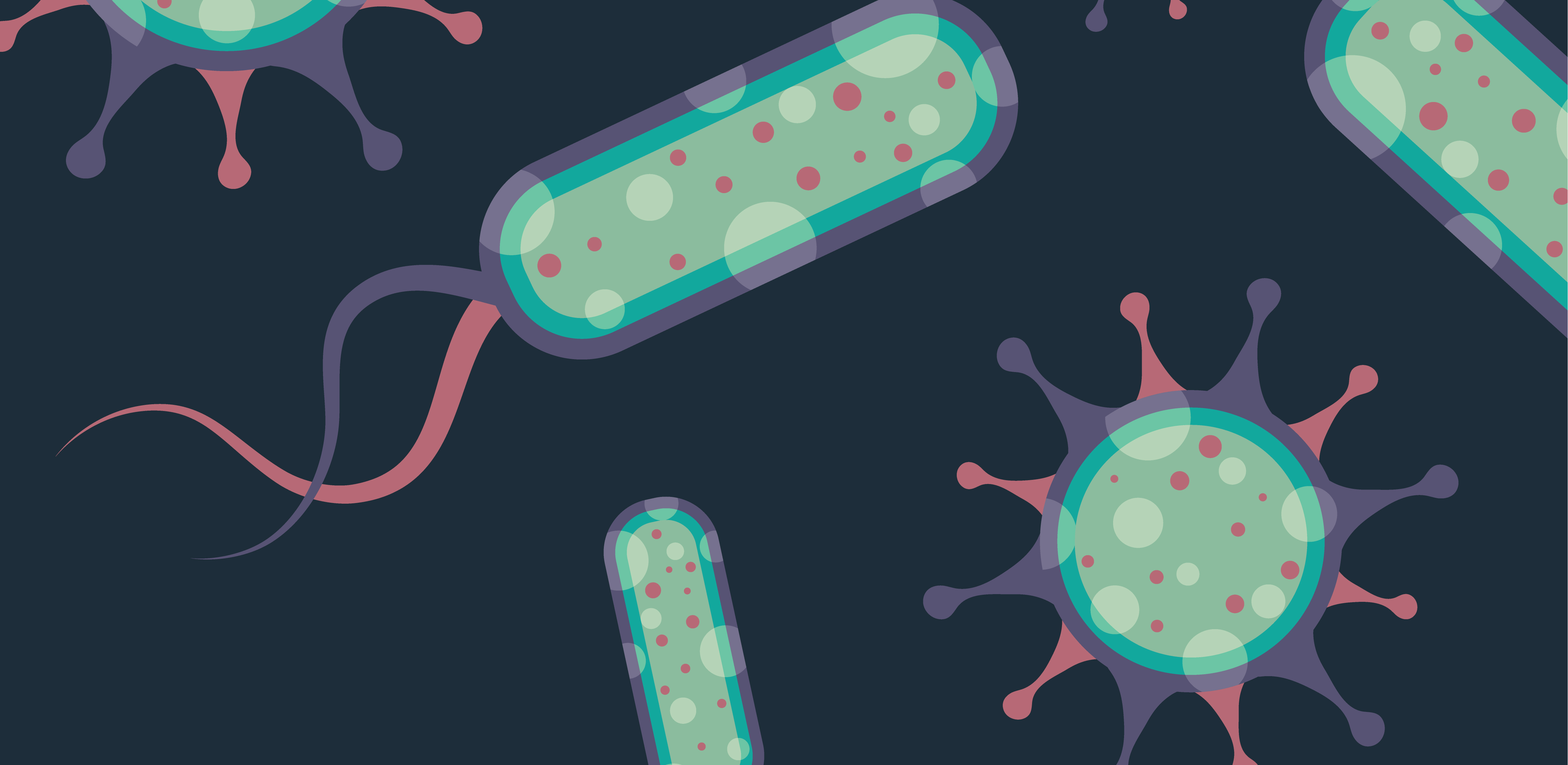 誰是芽胞桿菌中的“運(yùn)動健將”？