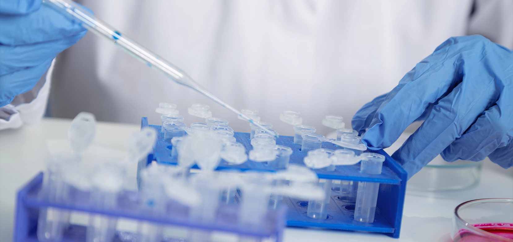 北京陸橋邀請您參加2025 AOAC食品檢測技術(shù)與標(biāo)準(zhǔn)研討會(huì)（2025年3月·深圳）